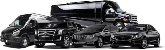 Limousine